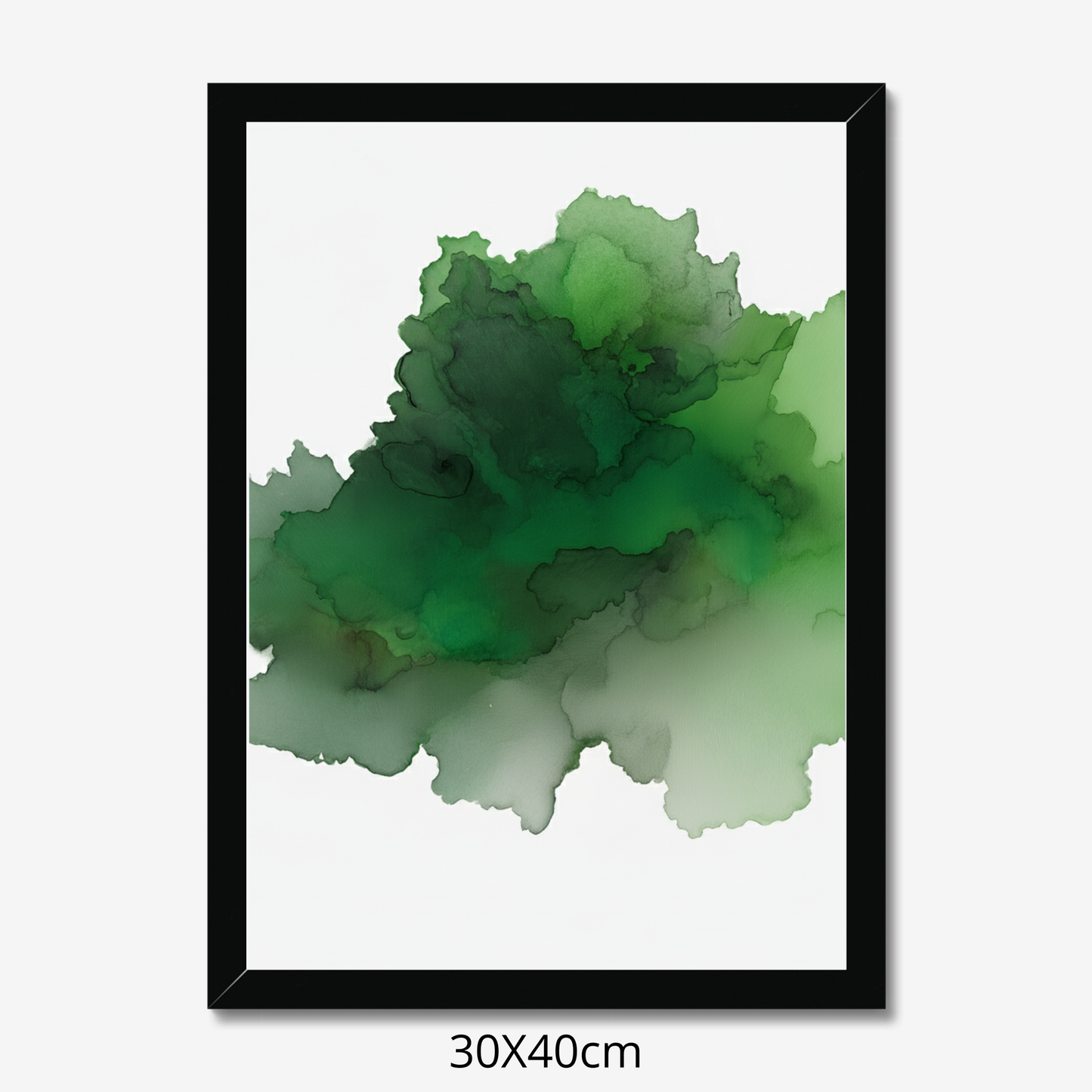 Custom Placenta Ilustration from Your Own Placenta Photo