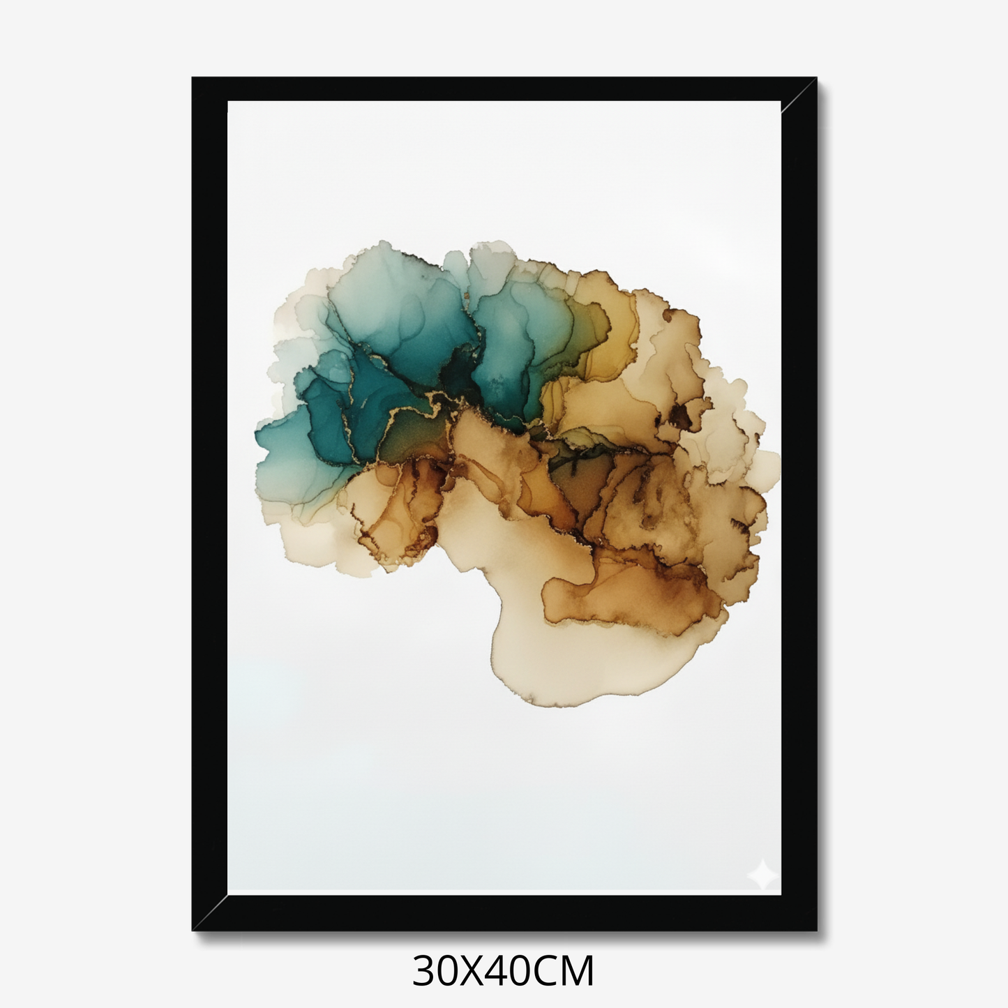 Custom Placenta Ilustration from Your Own Placenta Photo