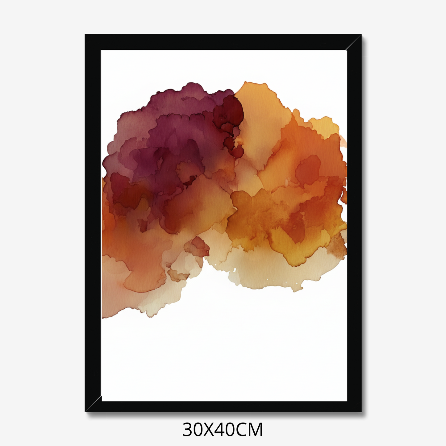 Custom Placenta Ilustration from Your Own Placenta Photo