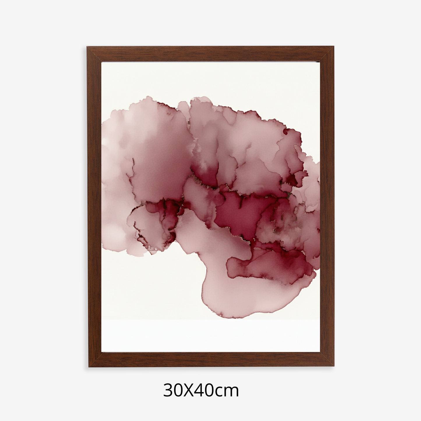 Custom Placenta Ilustration from Your Own Placenta Photo