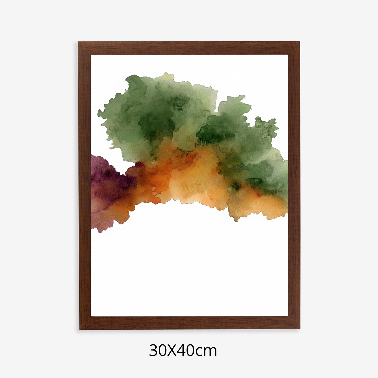 Custom Placenta Ilustration from Your Own Placenta Photo