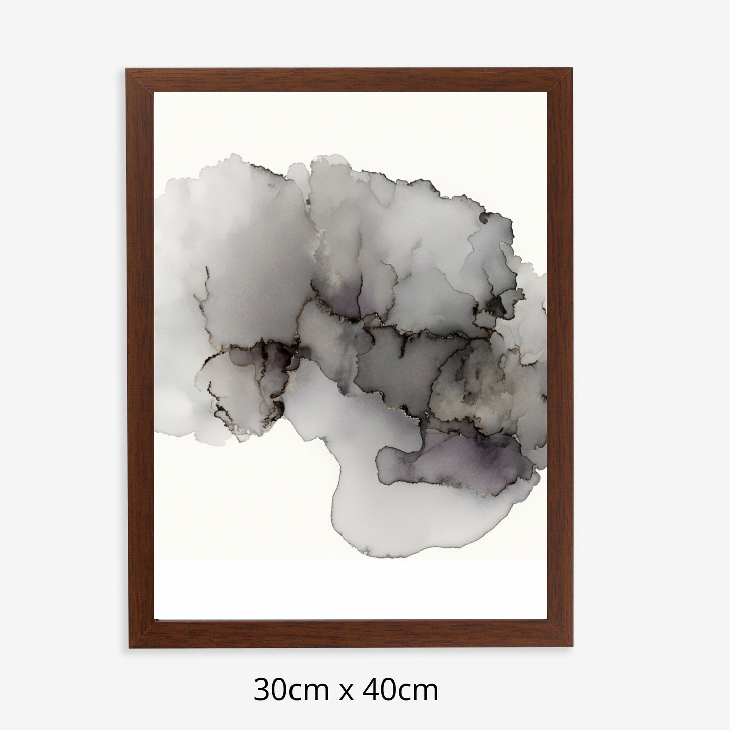 Custom Placenta Ilustration from Your Own Placenta Photo