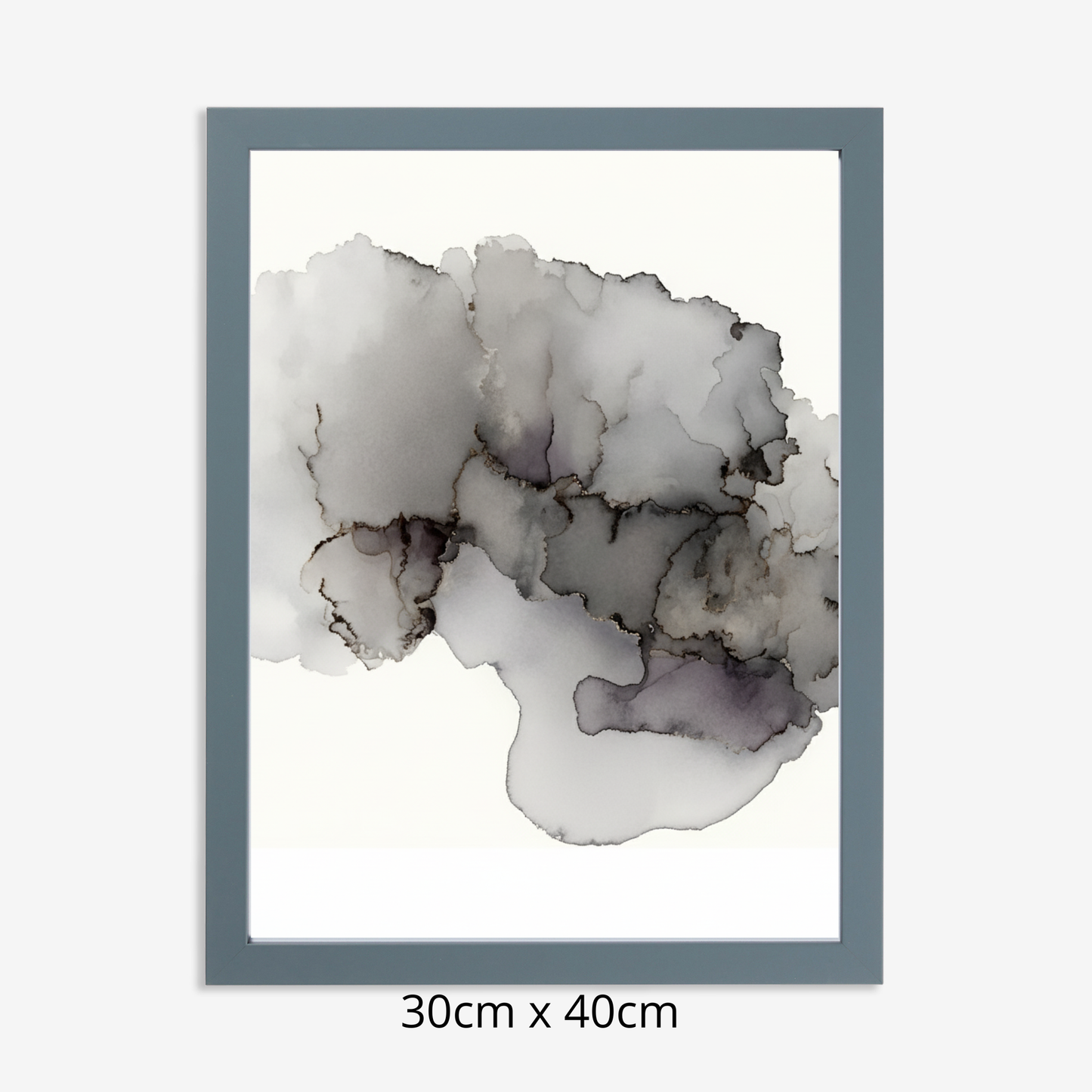 Custom Placenta Ilustration from Your Own Placenta Photo