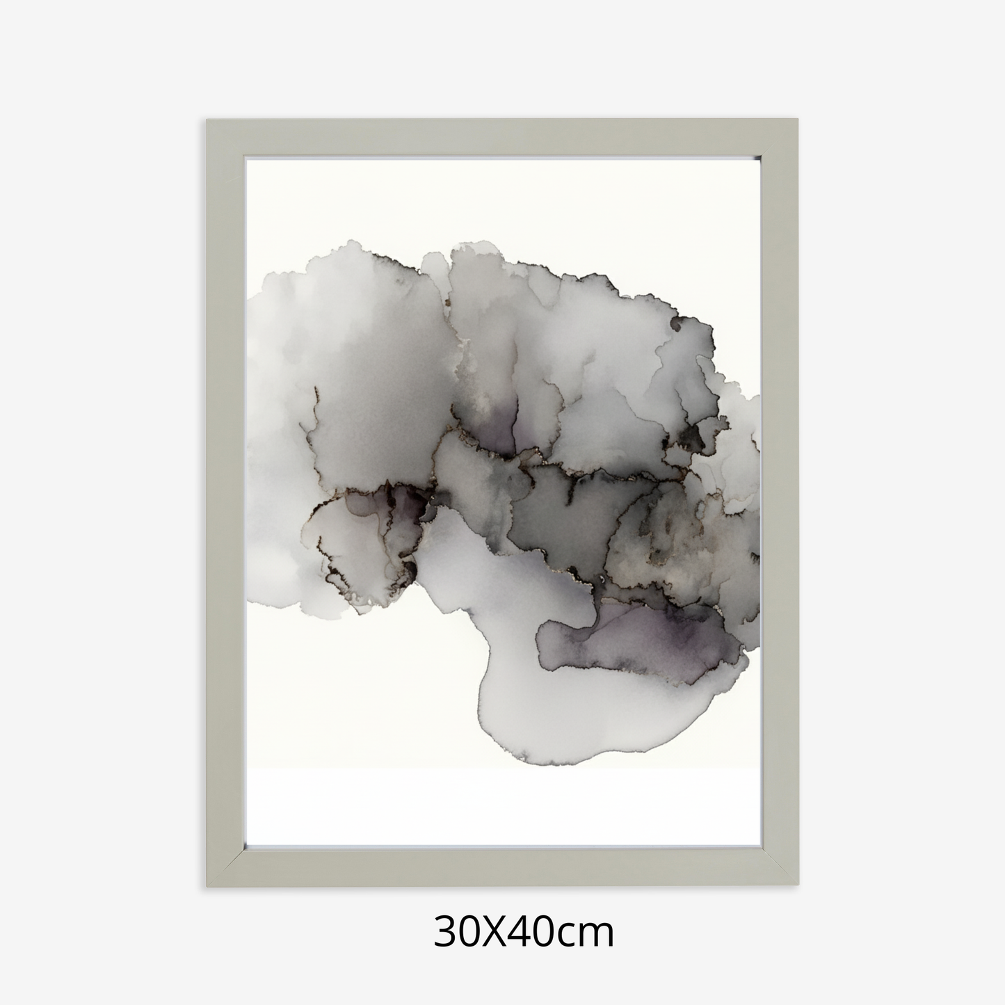 Custom Placenta Ilustration from Your Own Placenta Photo