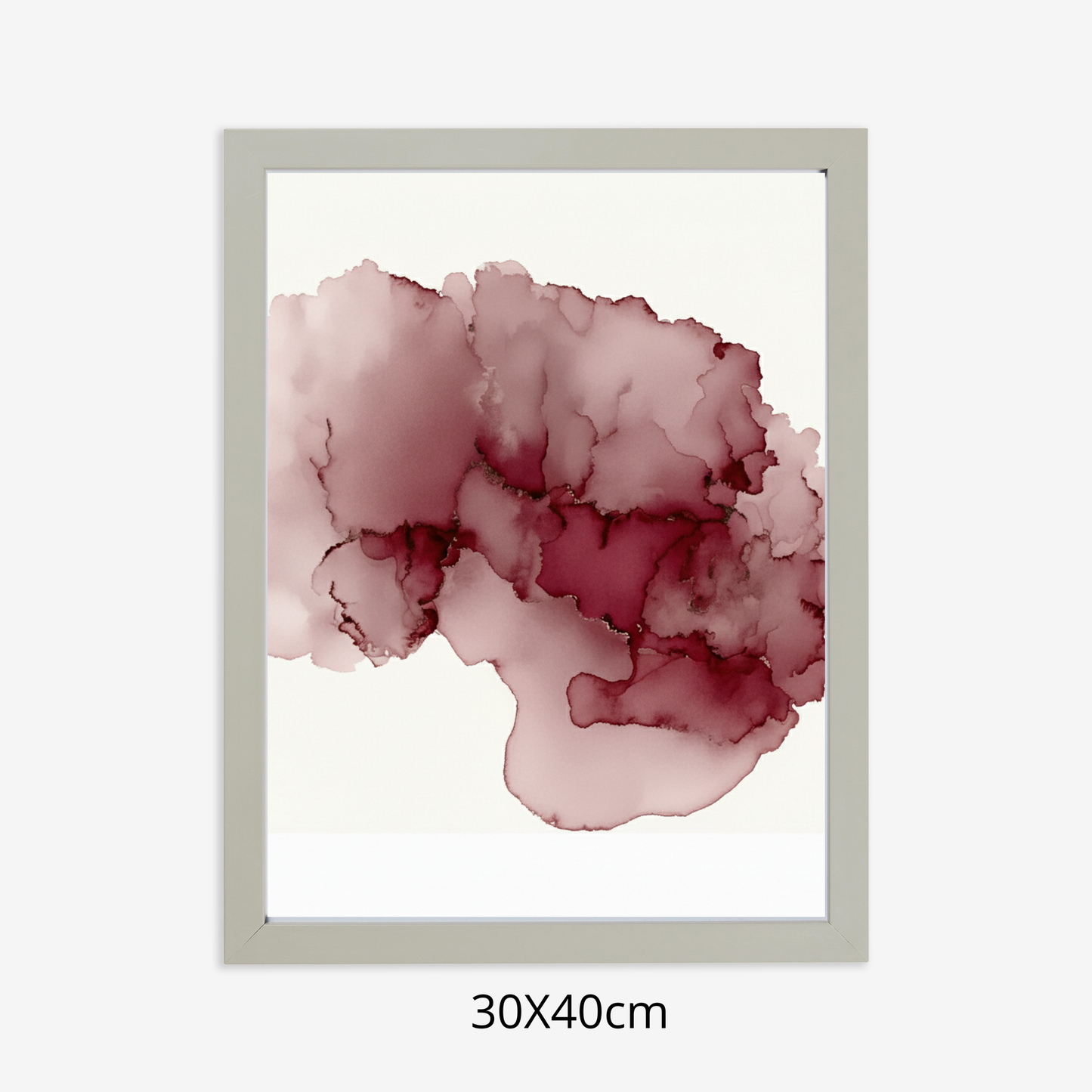 Custom Placenta Ilustration from Your Own Placenta Photo