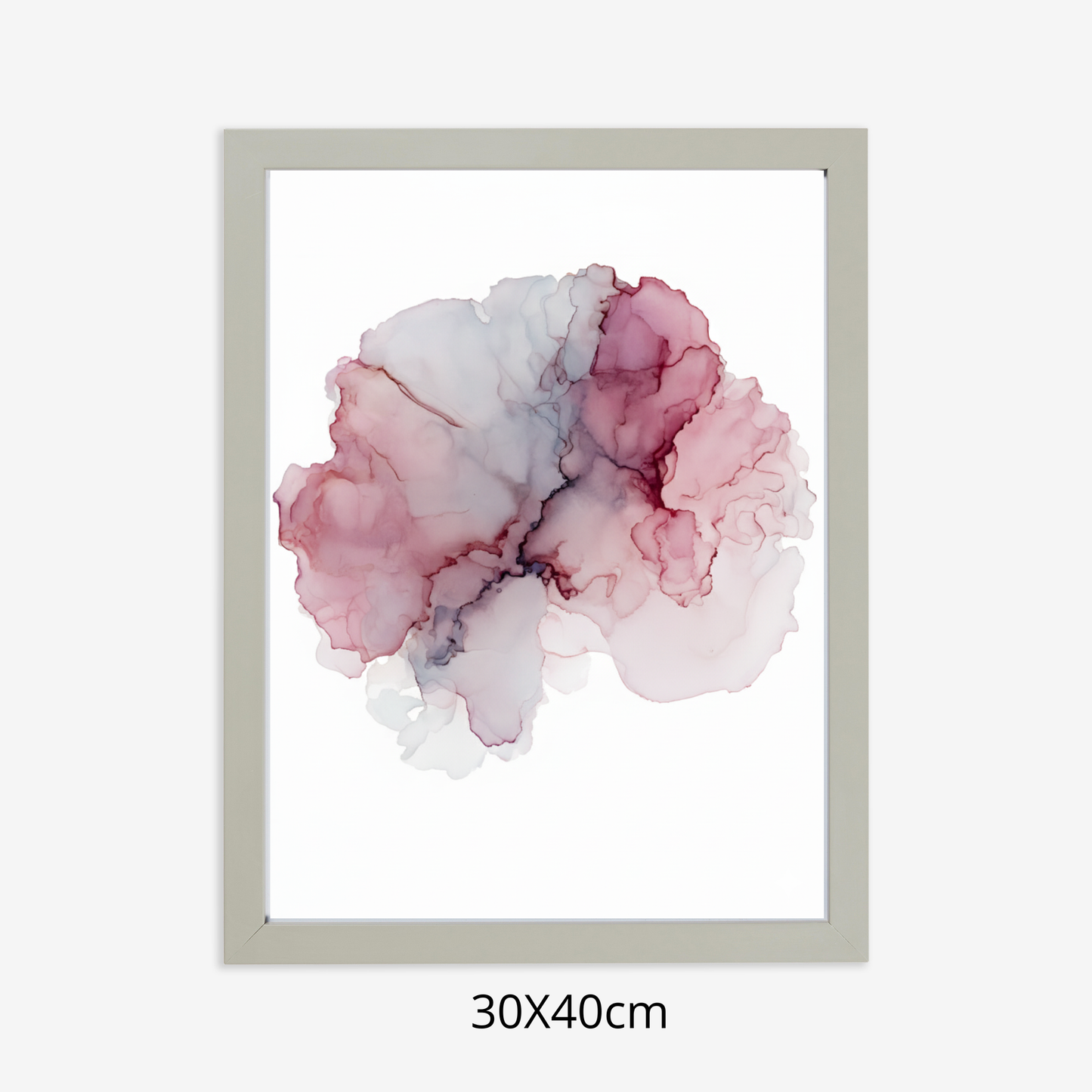 Custom Placenta Ilustration from Your Own Placenta Photo