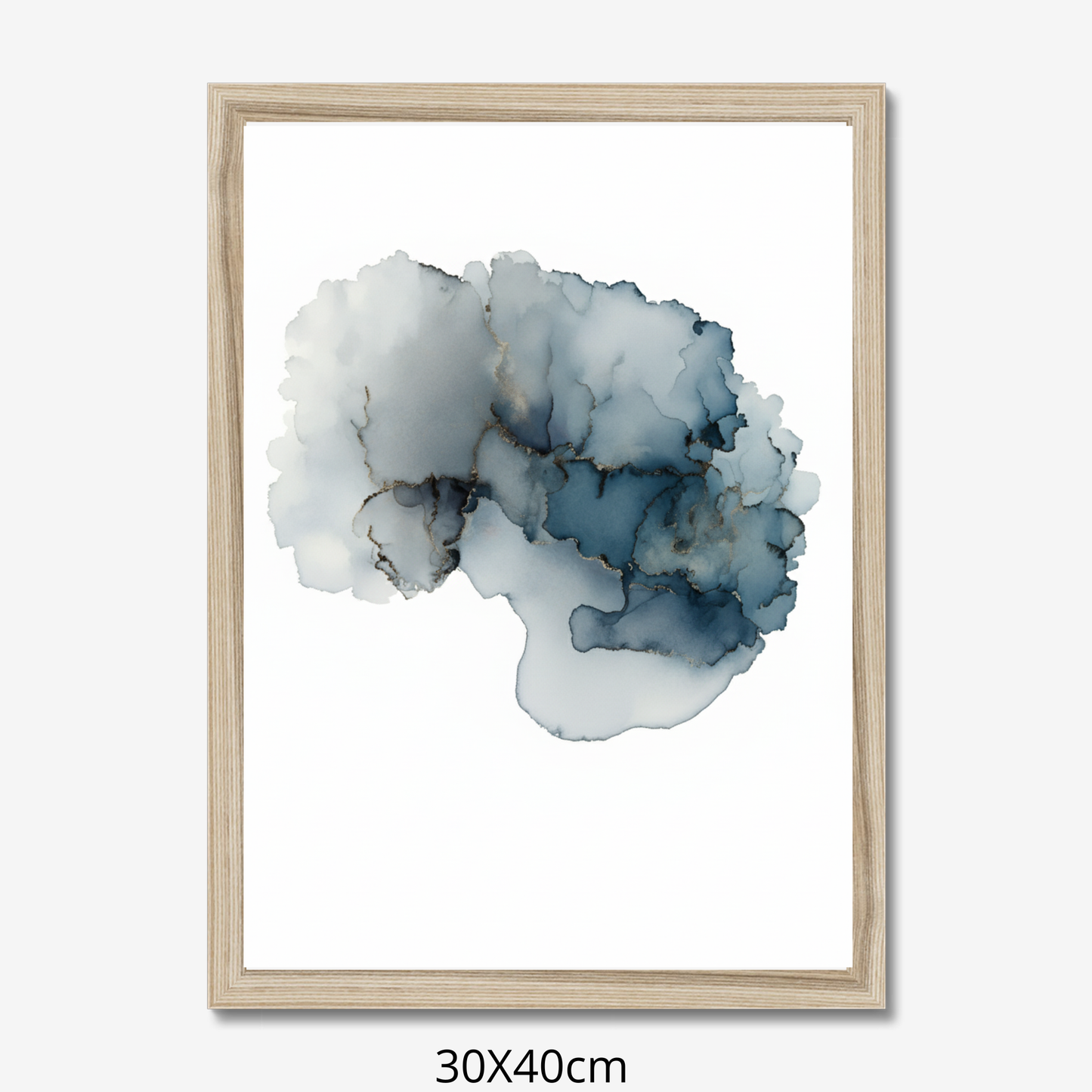 Custom Placenta Ilustration from Your Own Placenta Photo