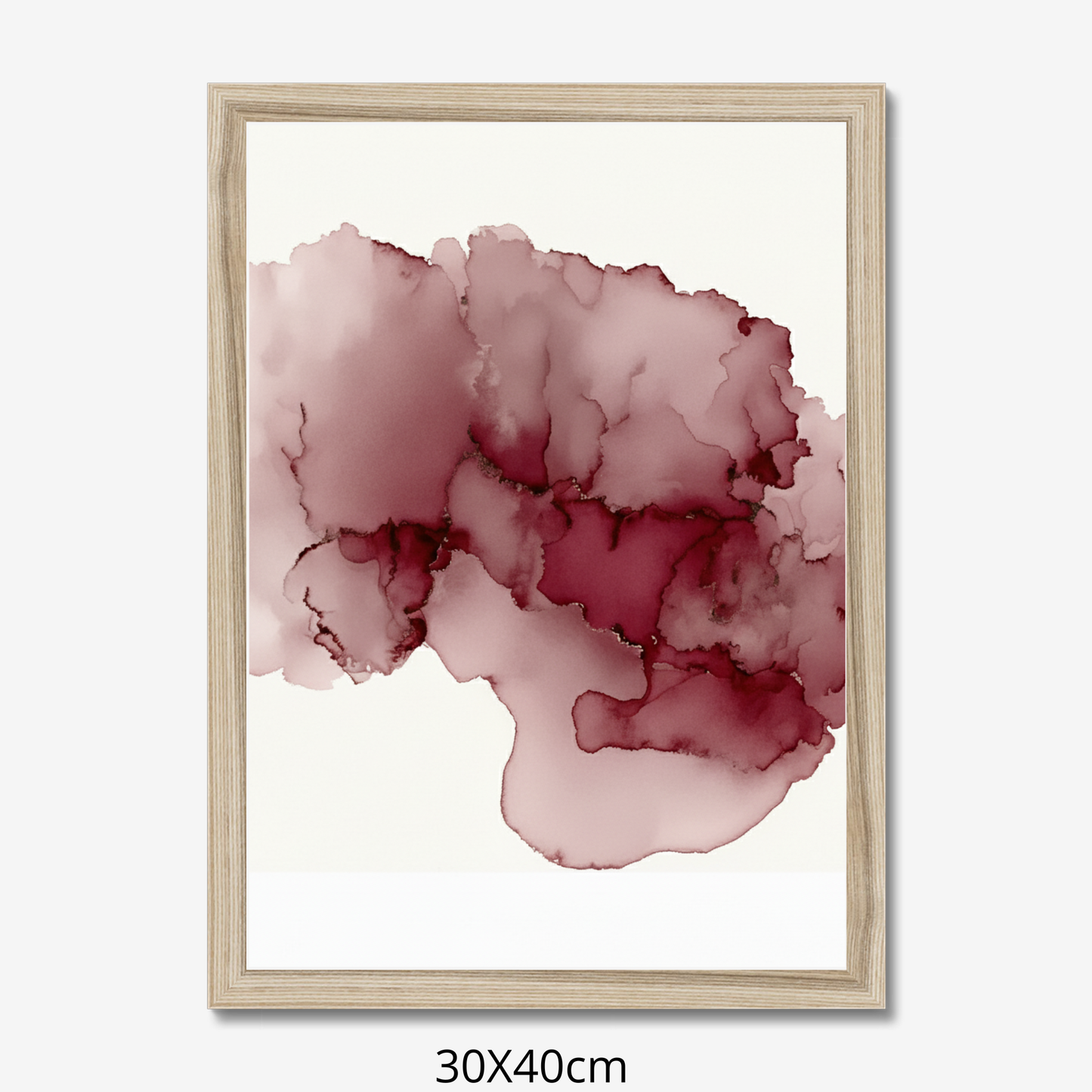 Custom Placenta Ilustration from Your Own Placenta Photo