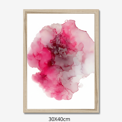 Custom Placenta Ilustration from Your Own Placenta Photo