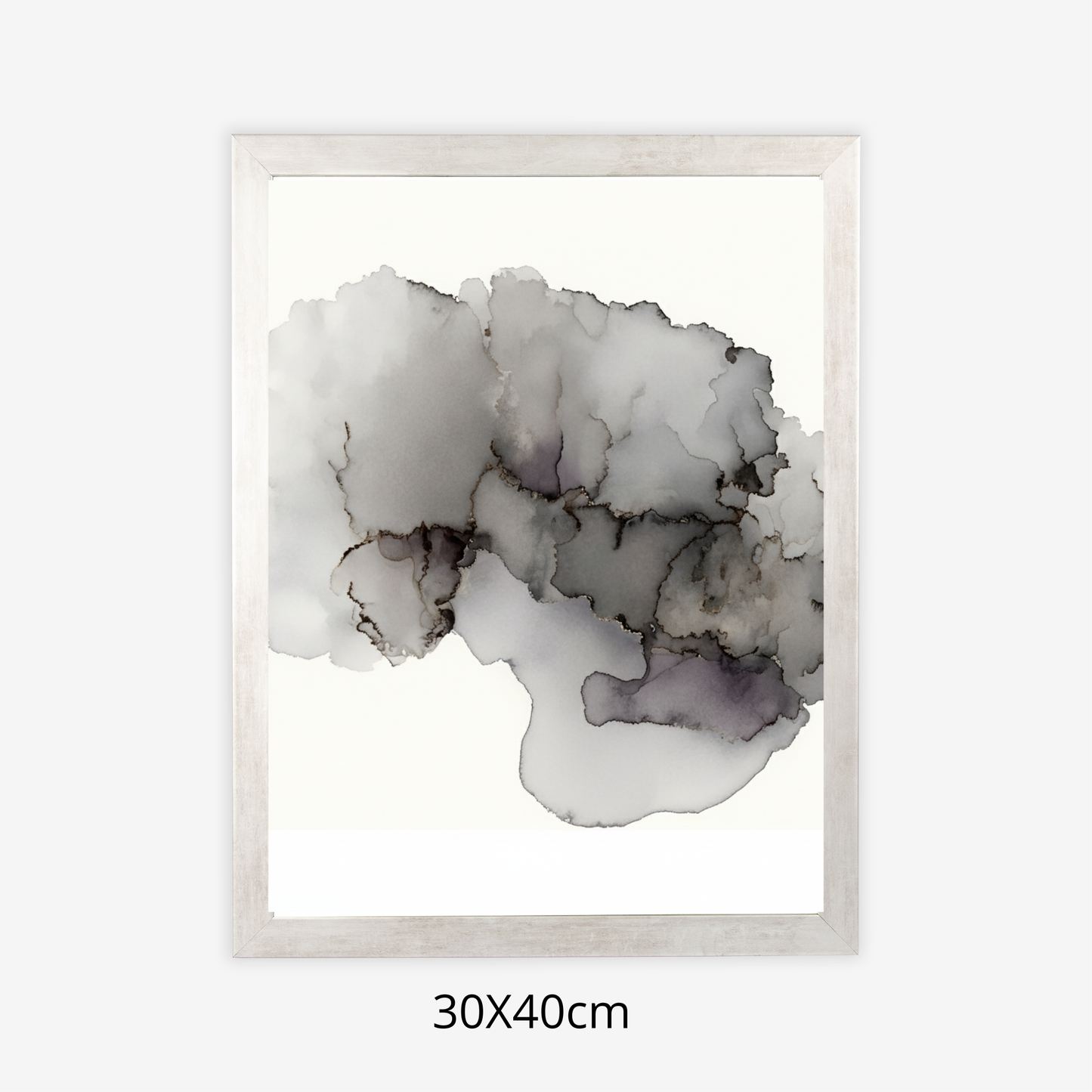 Custom Placenta Ilustration from Your Own Placenta Photo