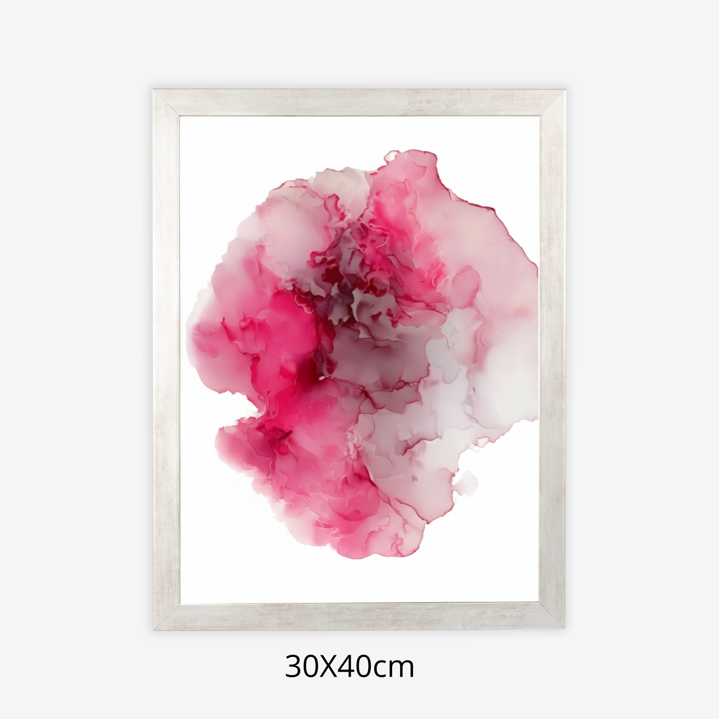 Custom Placenta Ilustration from Your Own Placenta Photo