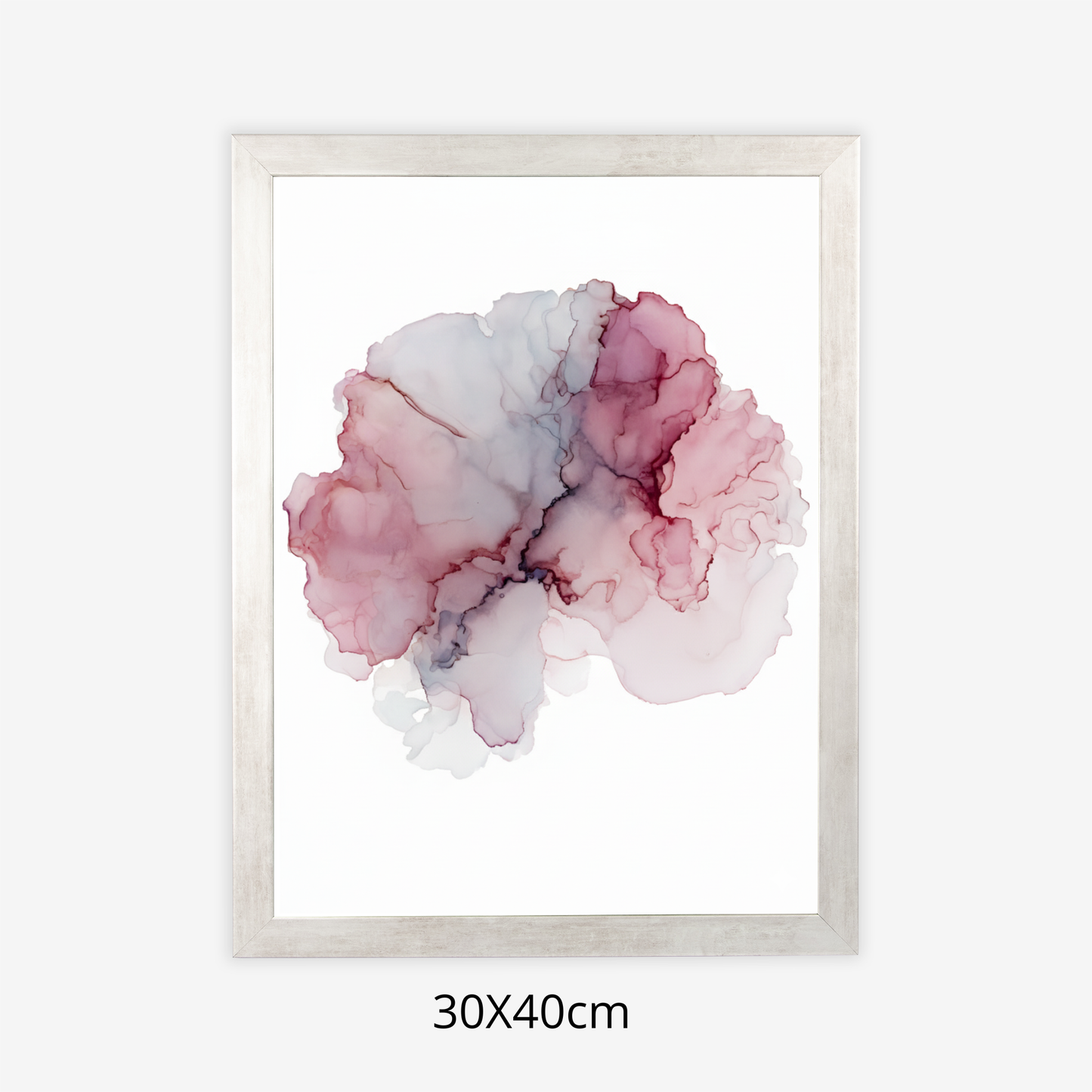 Custom Placenta Ilustration from Your Own Placenta Photo