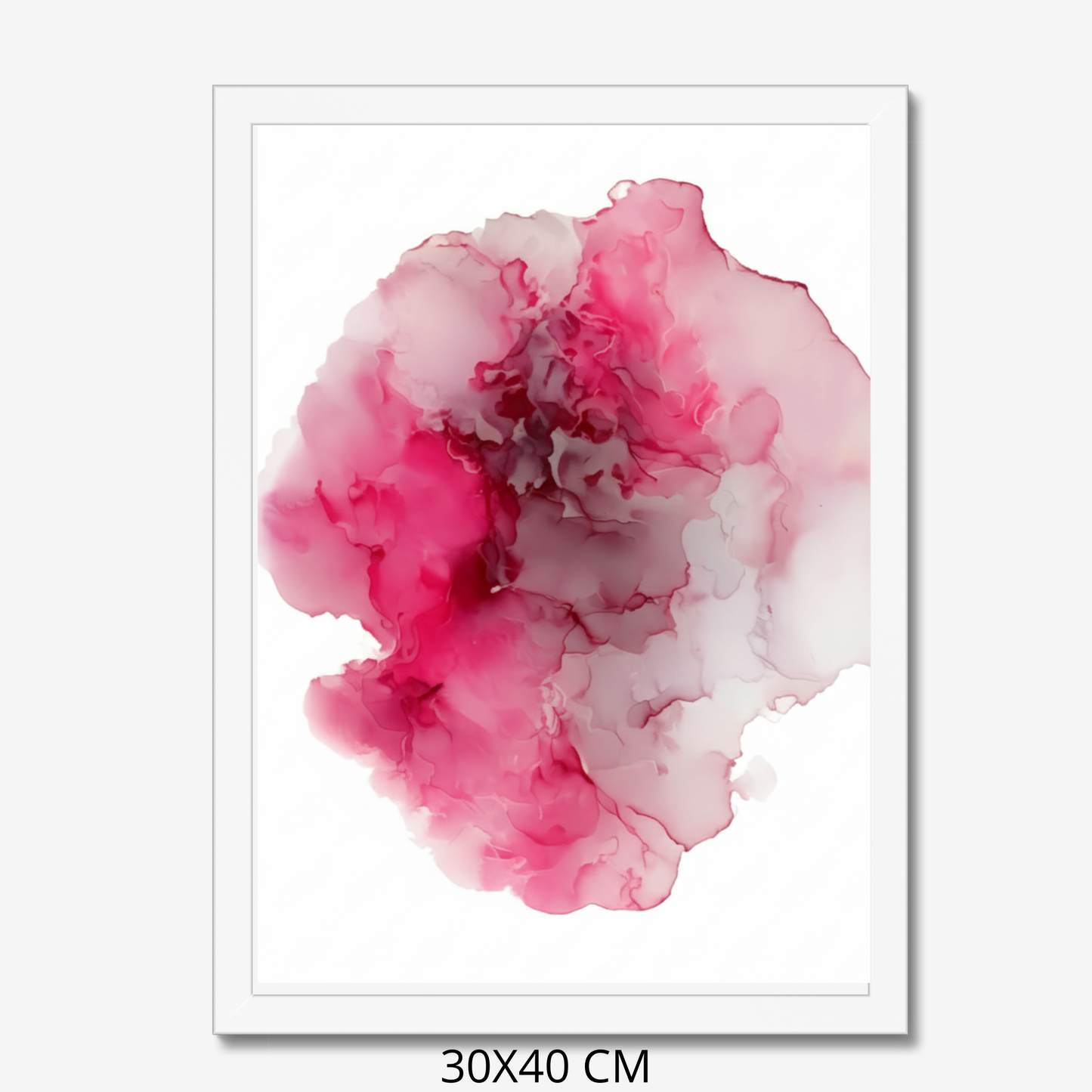 Custom Placenta Ilustration from Your Own Placenta Photo