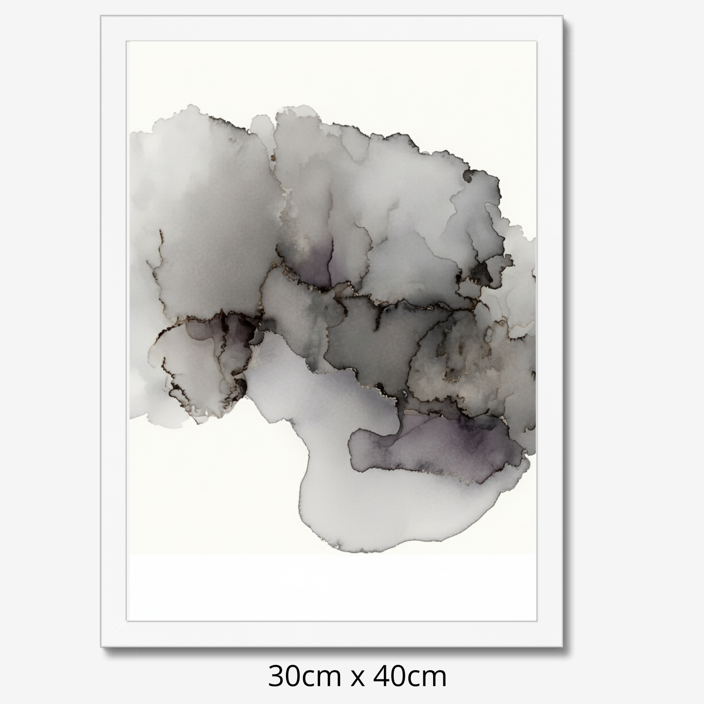 Custom Placenta Ilustration from Your Own Placenta Photo