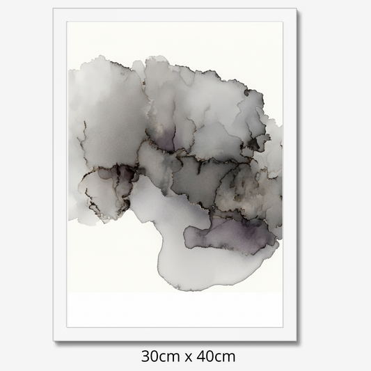 Souvenir du placenta