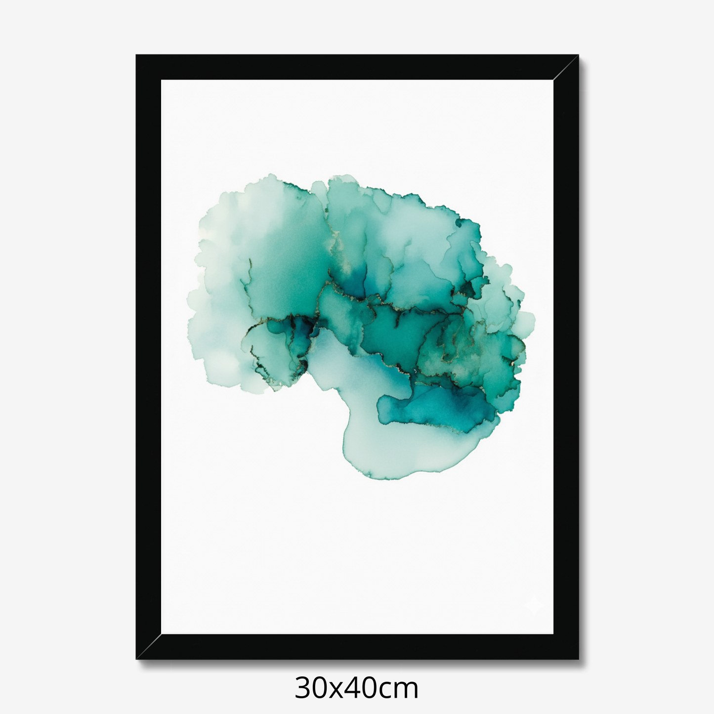 Custom Placenta Ilustration from Your Own Placenta Photo