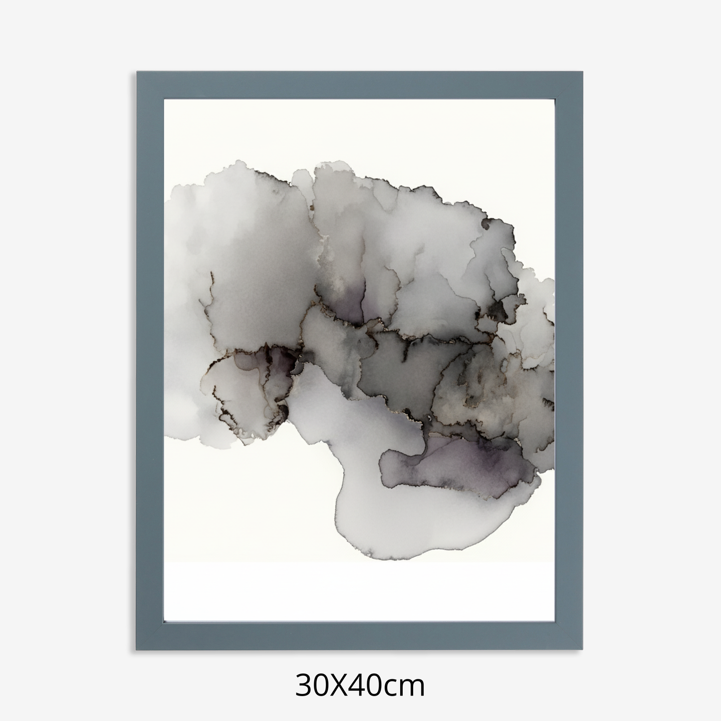 Custom Placenta Ilustration from Your Own Placenta Photo