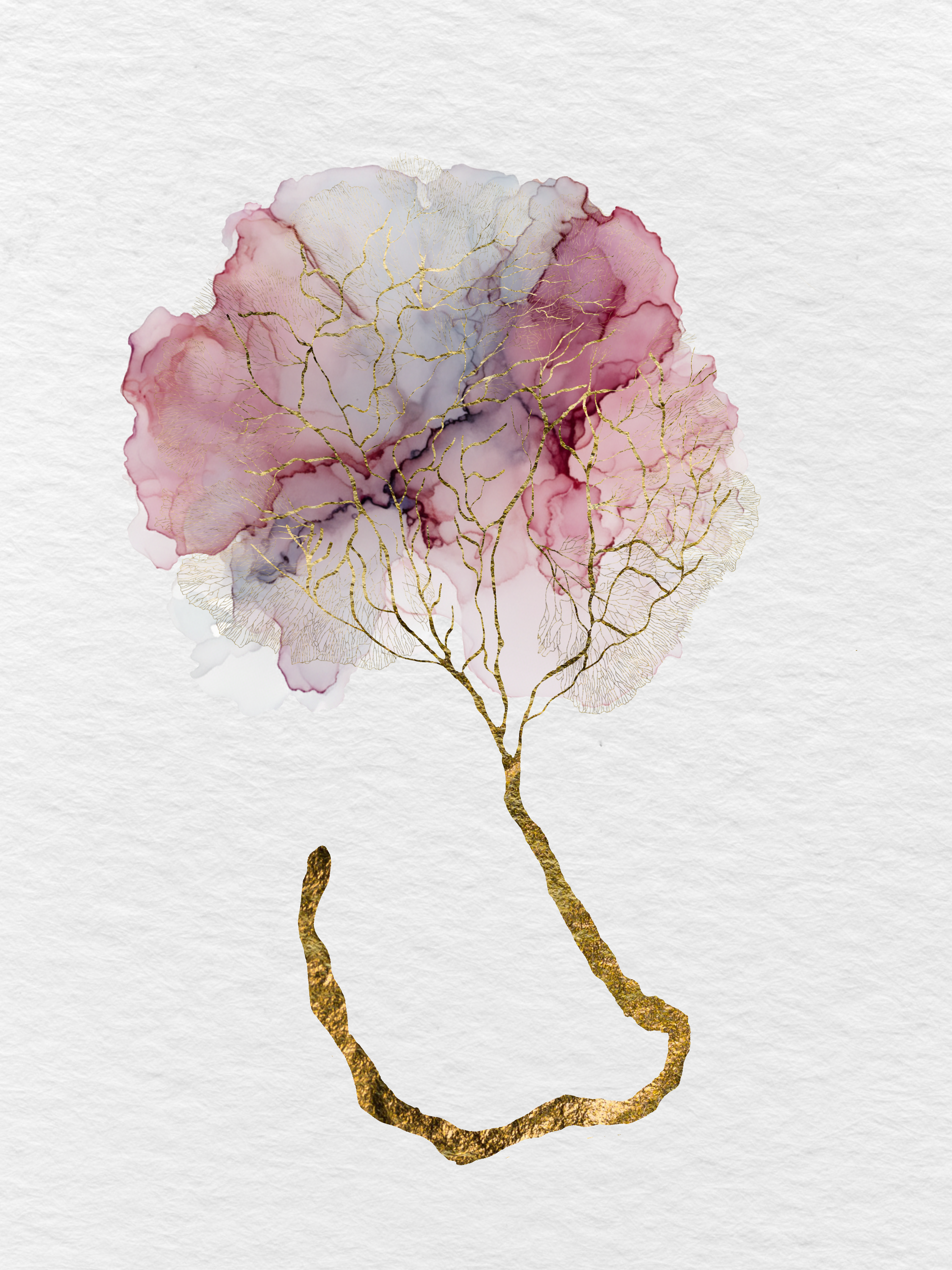 Impresión de placenta Ilustración de placenta a partir de una foto Placenta Print Placenta Ilustration from a photo - PRINT OF LIFE